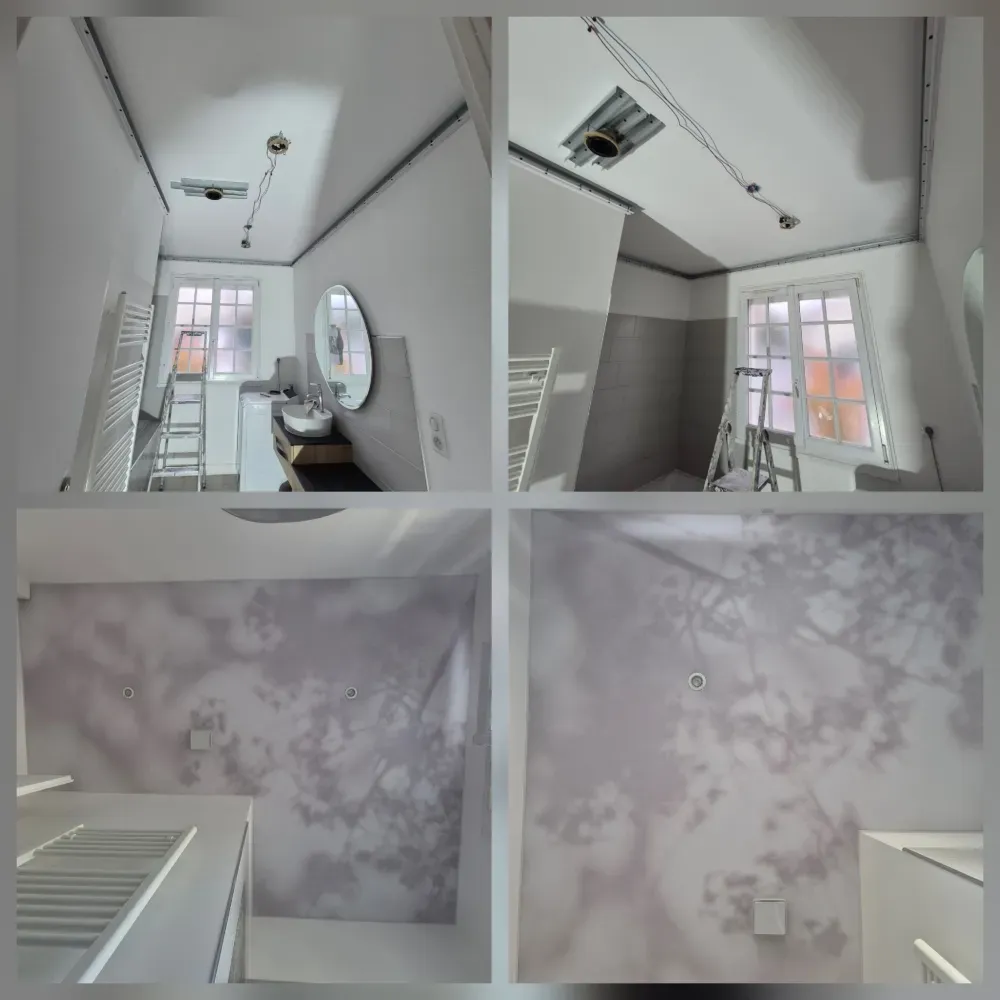 Revêtements muraux et de sols BJ2 Peinture (1)